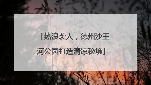 热浪袭人，德州沙王河公园打造清凉秘境