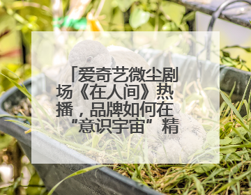 爱奇艺微尘剧场《在人间》热播，品牌如何在“意识宇宙”精准圈粉？