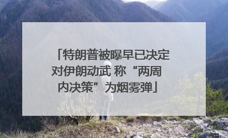 特朗普被曝早已决定对伊朗动武 称“两周内决策”为烟雾弹