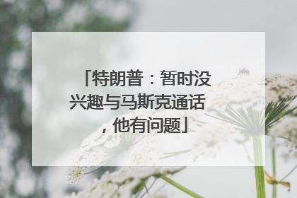 特朗普：暂时没兴趣与马斯克通话，他有问题