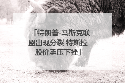 特朗普-马斯克联盟出现分裂 特斯拉股价承压下挫
