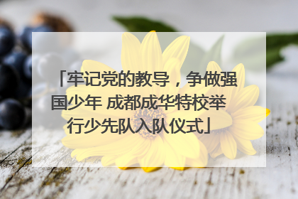 牢记党的教导，争做强国少年 成都成华特校举行少先队入队仪式
