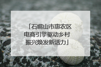 石嘴山市惠农区电商引擎驱动乡村振兴焕发新活力