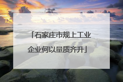 石家庄市规上工业企业何以量质齐升