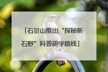 石景山推出“探秘新石野”科普研学路线