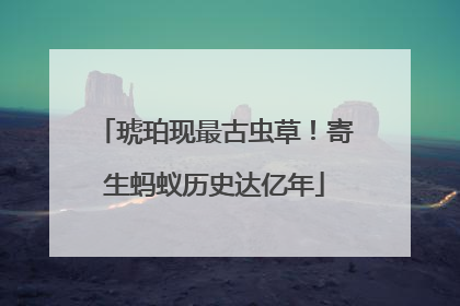 琥珀现最古虫草！寄生蚂蚁历史达亿年