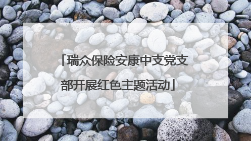 瑞众保险安康中支党支部开展红色主题活动