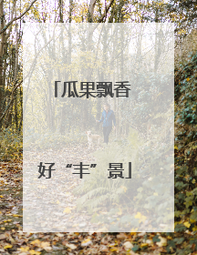 瓜果飘香 好“丰”景