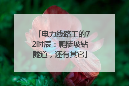 电力线路工的72时辰：爬陡坡钻隧道，还有其它