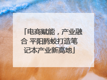 电商赋能，产业融合 平阳腾蛟打造笔记本产业新高地