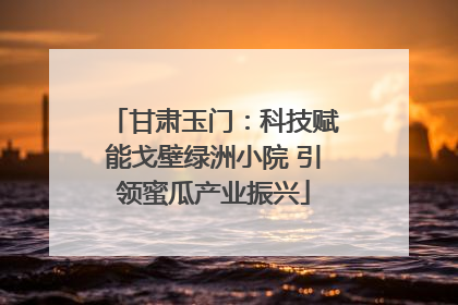 甘肃玉门：科技赋能戈壁绿洲小院 引领蜜瓜产业振兴