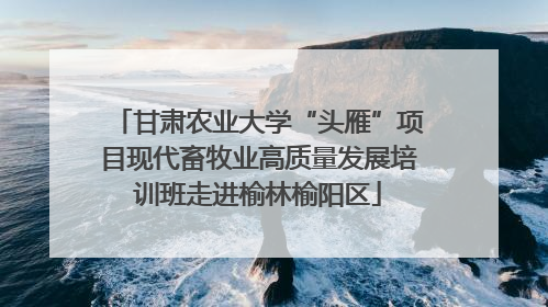 甘肃农业大学“头雁”项目现代畜牧业高质量发展培训班走进榆林榆阳区