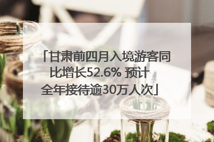 甘肃前四月入境游客同比增长52.6% 预计全年接待逾30万人次