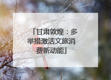 甘肃敦煌：多举措激活文旅消费新动能