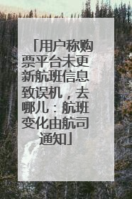 用户称购票平台未更新航班信息致误机，去哪儿：航班变化由航司通知