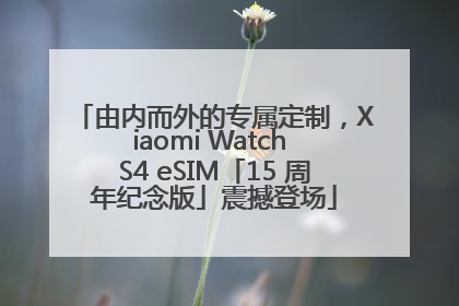 由内而外的专属定制，Xiaomi Watch S4 eSIM「15 周年纪念版」震撼登场
