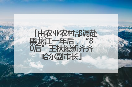 由农业农村部调赴黑龙江一年后，“80后”王杕履新齐齐哈尔副市长