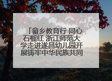 畲乡教育行 同心石榴红 浙江师范大学走进遂昌幼儿园开展铸牢中华民族共同体意识教育