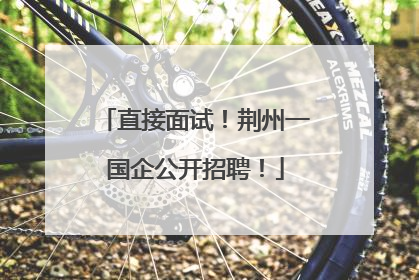 直接面试！荆州一国企公开招聘！