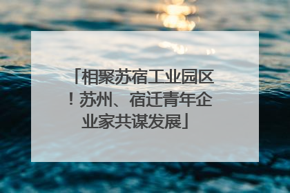 相聚苏宿工业园区！苏州、宿迁青年企业家共谋发展