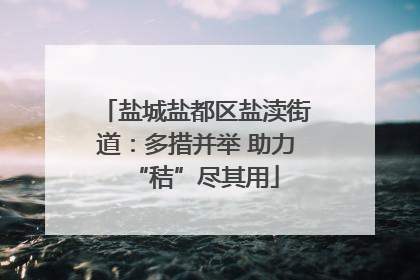 盐城盐都区盐渎街道：多措并举 助力“秸”尽其用