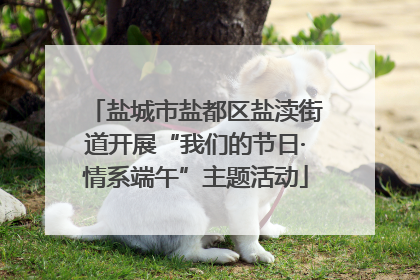 盐城市盐都区盐渎街道开展“我们的节日·情系端午”主题活动