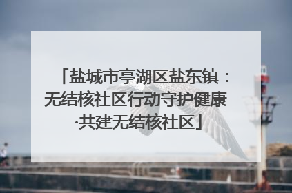 盐城市亭湖区盐东镇：无结核社区行动守护健康 ·共建无结核社区