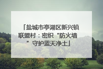 盐城市亭湖区新兴镇联盟村：密织“防火墙”守护蓝天净土