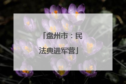 盘州市：民法典进军营