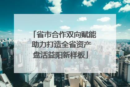 省市合作双向赋能 助力打造全省资产盘活益阳新样板