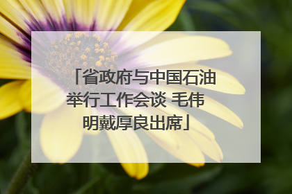 省政府与中国石油举行工作会谈 毛伟明戴厚良出席