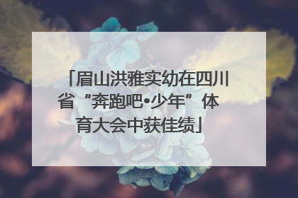 眉山洪雅实幼在四川省“奔跑吧•少年”体育大会中获佳绩