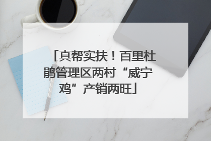 真帮实扶！百里杜鹃管理区两村“威宁鸡”产销两旺