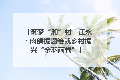 筑梦“湘”村｜江永：肉鸽振翅绘就乡村振兴“金羽画卷”