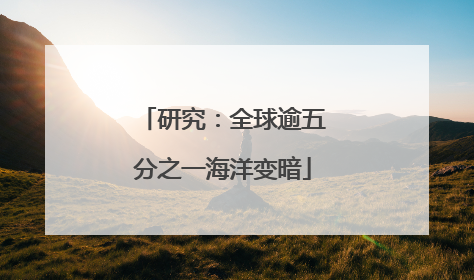 研究：全球逾五分之一海洋变暗