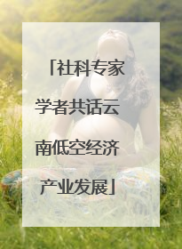 社科专家学者共话云南低空经济产业发展