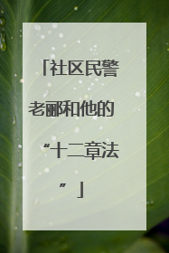 社区民警老郦和他的“十二章法”