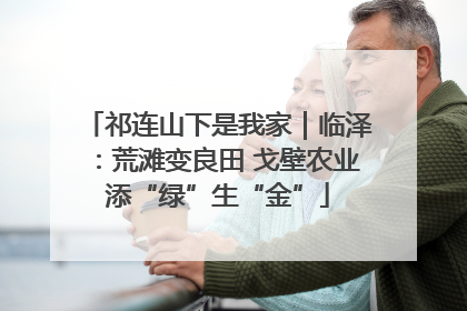 祁连山下是我家｜临泽：荒滩变良田 戈壁农业添“绿”生“金”