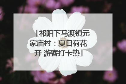 祁阳下马渡镇元家庙村：夏日荷花开 游客打卡热