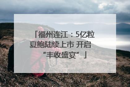 福州连江：5亿粒夏鲍陆续上市 开启“丰收盛宴”