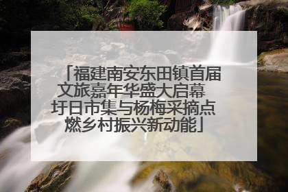 福建南安东田镇首届文旅嘉年华盛大启幕 圩日市集与杨梅采摘点燃乡村振兴新动能
