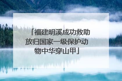 福建明溪成功救助放归国家一级保护动物中华穿山甲