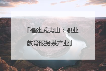 福建武夷山：职业教育服务茶产业