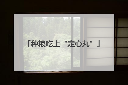 种粮吃上“定心丸”
