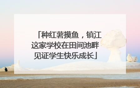 种红薯摸鱼，镇江这家学校在田间池畔见证学生快乐成长