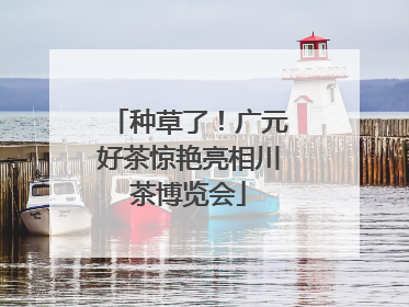 种草了！广元好茶惊艳亮相川茶博览会