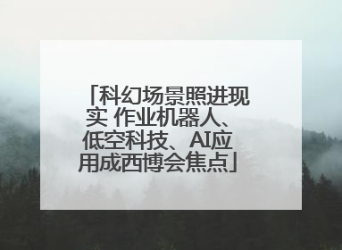 科幻场景照进现实 作业机器人、低空科技、AI应用成西博会焦点