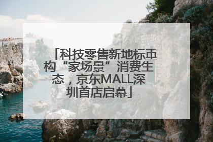 科技零售新地标重构“家场景”消费生态，京东MALL深圳首店启幕