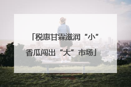税惠甘霖滋润“小”香瓜闯出“大”市场