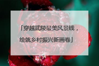 穿越武陵最美风景线，绘就乡村振兴新画卷